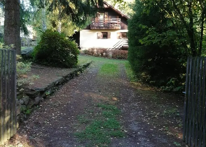 Na Samote U Lesa * Libnatov